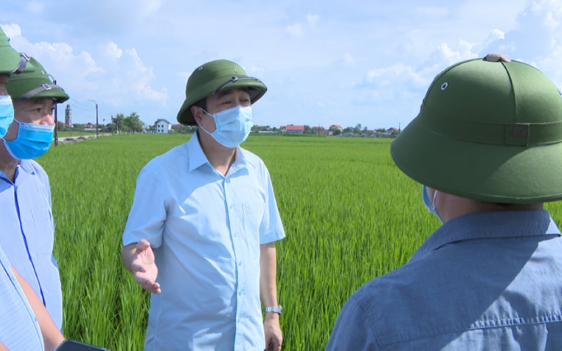 Thái Bình – Đẩy mạnh Phát triển nông nghiệp, nông thôn gắn với Xây dựng nông thôn mới