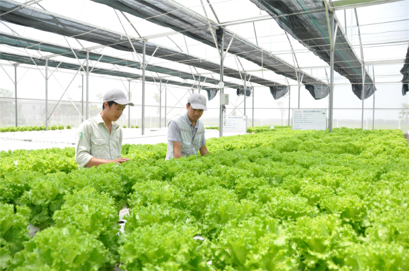 Thu hút vốn đầu tư phát triển sản xuất nông nghiệp ứng dụng công nghệ cao ở Hà Nội