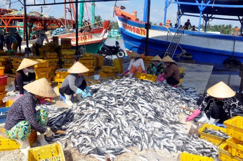 Thừa Thiên - Huế: Tình hình nuôi trồng và khai thác thủy sản 10 tháng đầu năm tăng khá