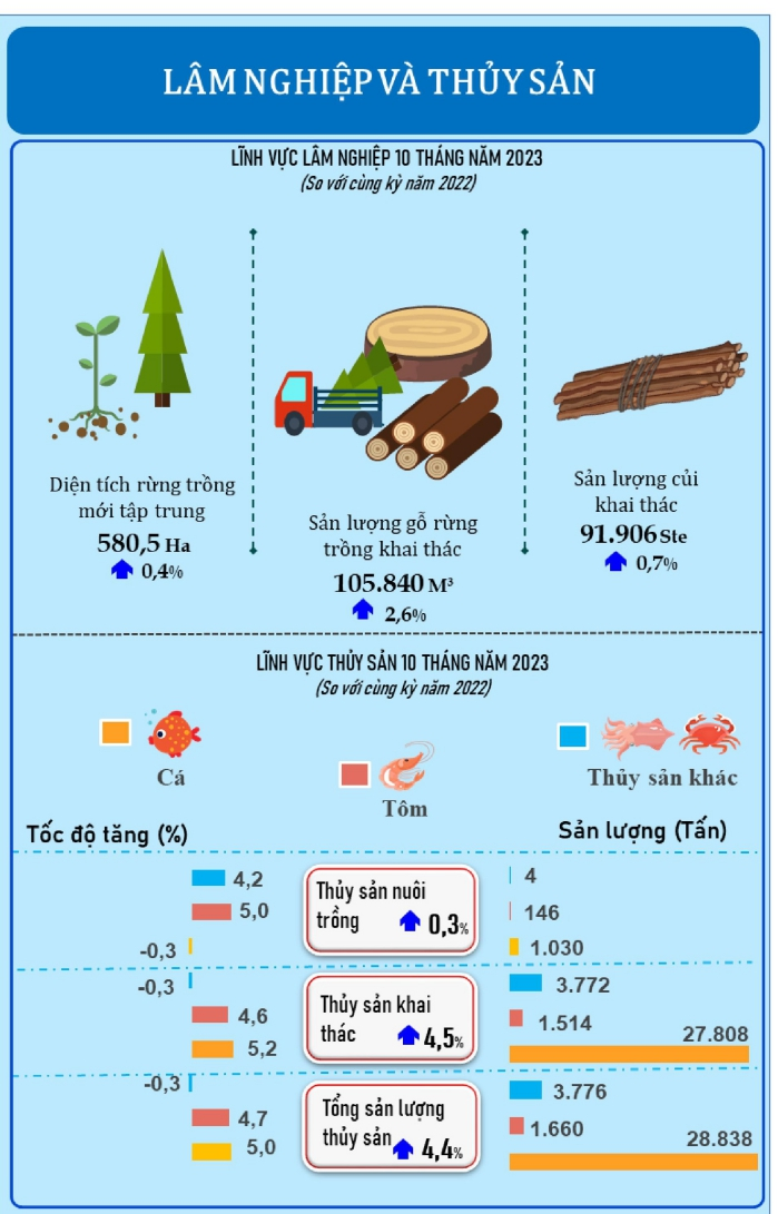 Tình hình sản xuất Lâm nghiệp và Thủy sản tại Đà Nẵng trong 10 tháng năm 2023