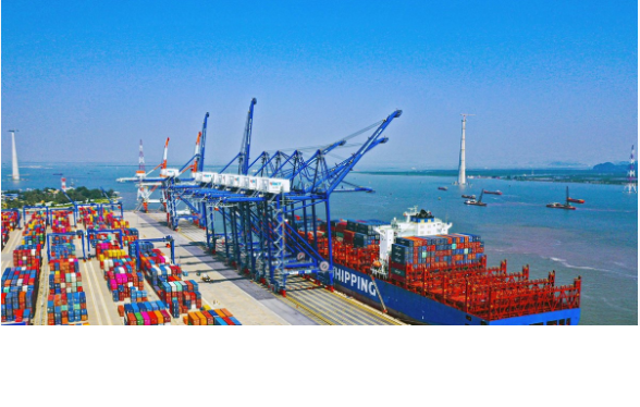 Việt Nam đẩy mạnh phát triển đội tàu vận tải biển quốc tế