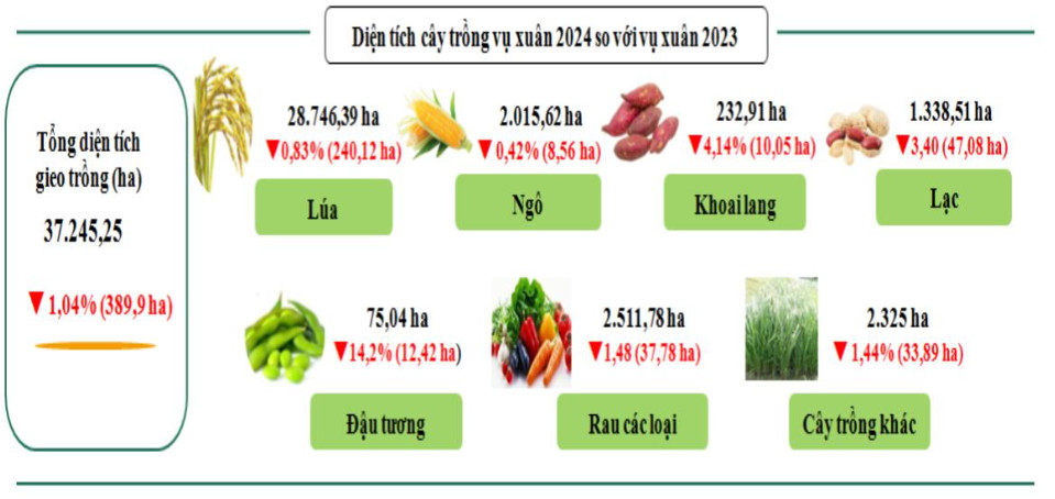 Vĩnh Phúc: Sản xuất nông nghiệp 4 tháng đầu năm 2024 phát triển ổn định